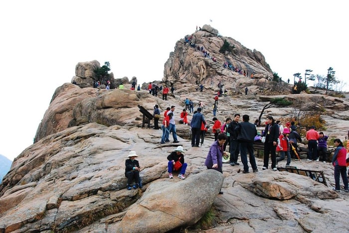 Sokcho - thành phố biển hàng đầu Hàn Quốc 12