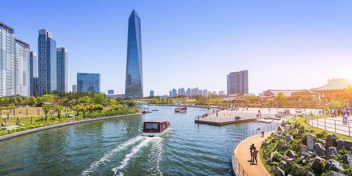 Khám phá Incheon và trải nghiệm đầy đủ những điều thú vị 4