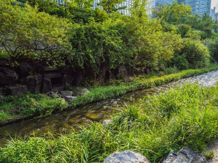 Khám phá suối Cheonggyecheon, một ốc đảo xanh mát giữa lòng Seoul 4