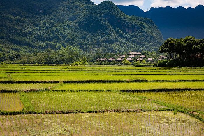 Bản Lác Mai Châu - Vẻ đẹp bất tận thu hút du khách 13