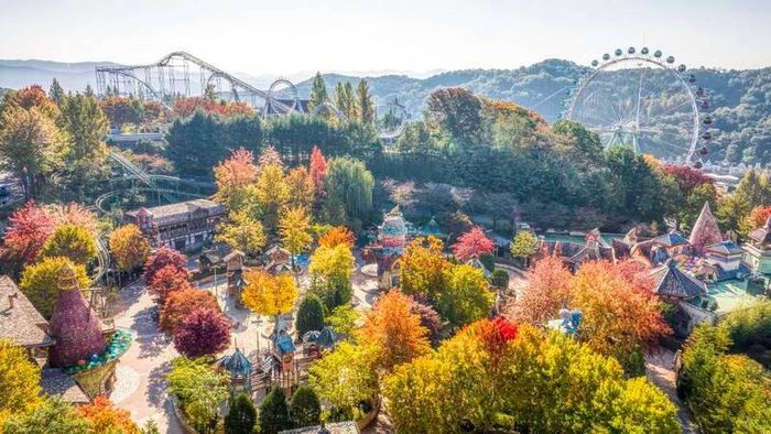 Trải nghiệm độc đáo tại Everland Hàn Quốc