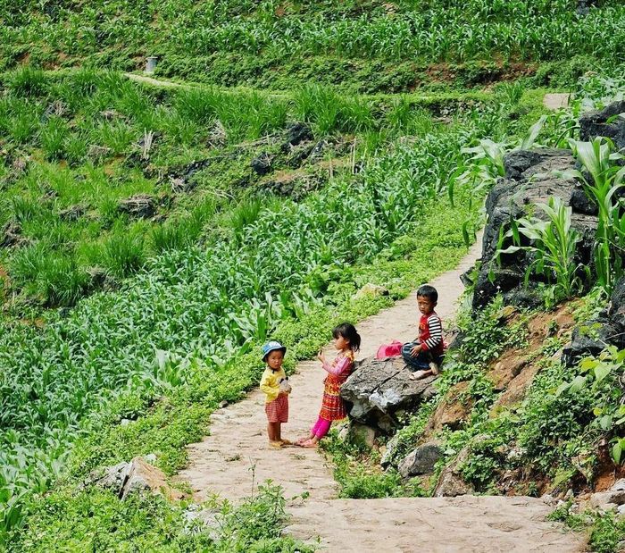 Khám phá hang động Lùng Khúy - Trải nghiệm độc đáo tại Hà Giang 6