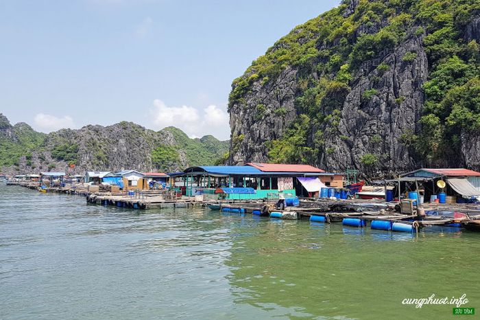 Đánh giá vịnh Lan Hạ, 'Nàng thơ' mơ mộng ở đất Cảng 2