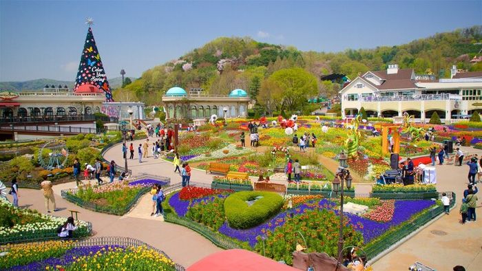 Trải nghiệm độc đáo tại Everland Hàn Quốc