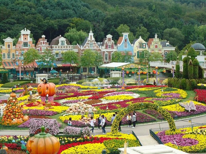 Trải nghiệm vui chơi tại Everland Hàn Quốc