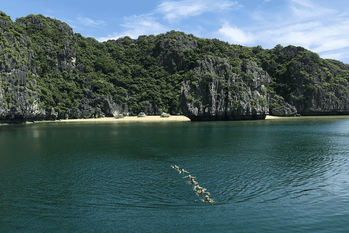 Khám phá vẻ đẹp tuyệt vời của thiên đường biển với lịch trình khám phá vịnh Lan Hạ 4