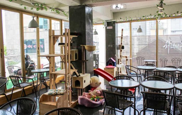 Khám phá thiên đường giải trí sôi động Hongdae tại Hàn Quốc