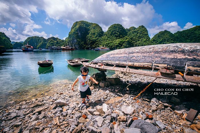 Đánh giá chuyến đi khám phá Cát Bà thú vị cùng cặp bố con đáng yêu 5