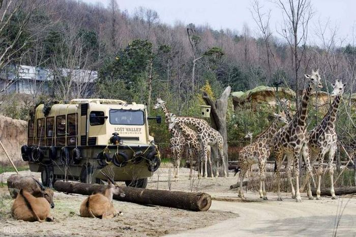 Trải nghiệm độc đáo tại Everland Hàn Quốc