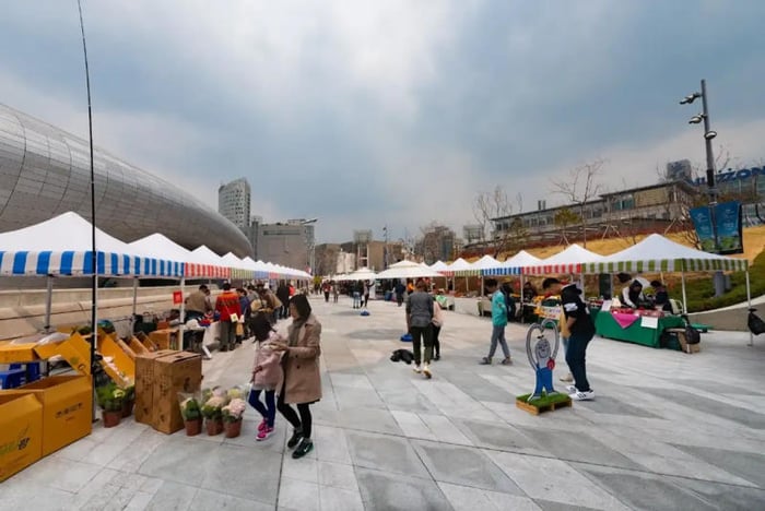 Check-in Dongdaemun Design Plaza với kiến trúc ấn tượng