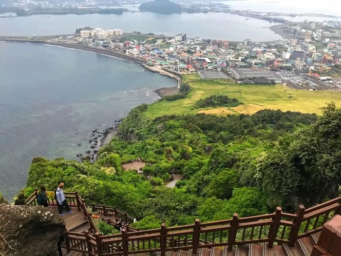 Trải nghiệm chuyến tham quan Seongsan Ilchulbong, khám phá vẻ đẹp hoang sơ của núi lửa Jeju 7