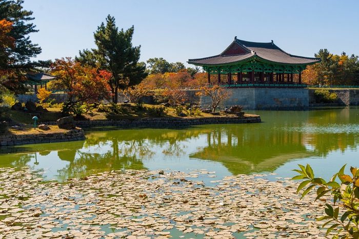 Gyeongju - nơi giữ lại tinh hoa của triều đại Silla Hàn Quốc 9