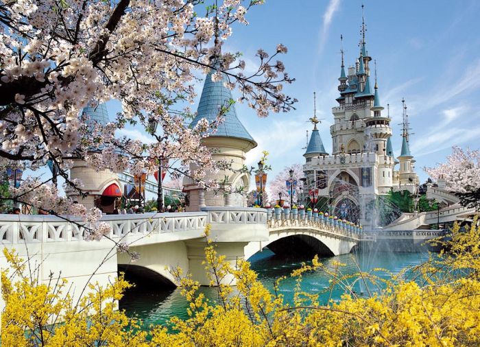 Thiên đường giải trí Lotte World - Đỉnh cao giải trí Hàn Quốc 3