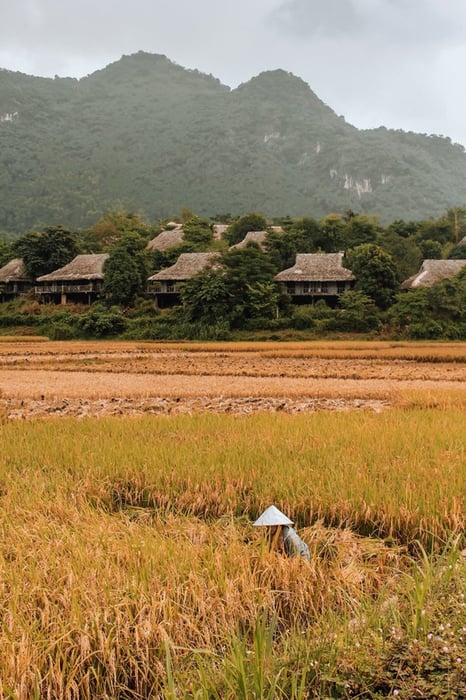 Bản Lác Mai Châu - Vẻ đẹp bất tận thu hút du khách 6