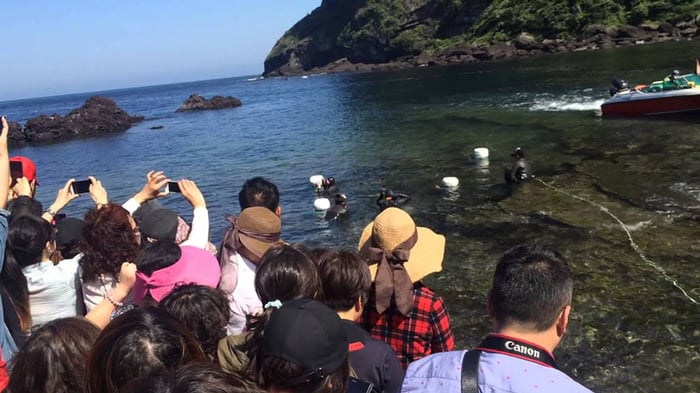 Trải nghiệm Seongsan Ilchulbong, khám phá vẻ đẹp hoang sơ của núi lửa Jeju 10