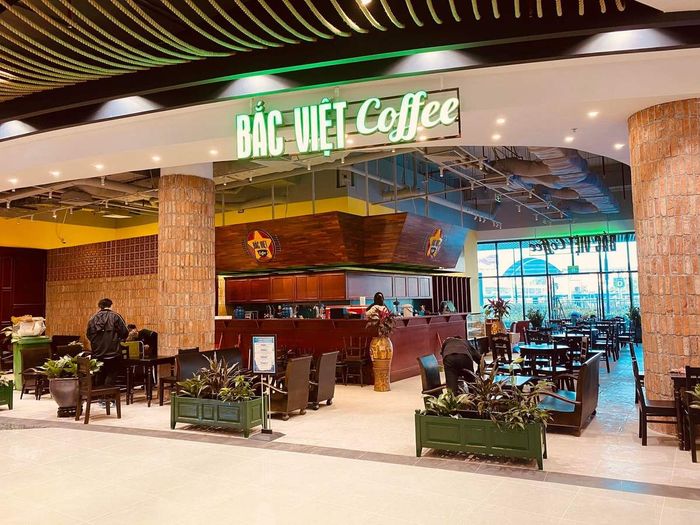 Lý do mà Bắc Việt Coffee lại được lòng người dân Hải Phòng như thế này đã được giải mã.