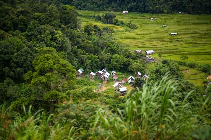 Ruộng bậc thang làng Kon Tu Rằng - Bình yên trên cao nguyên thơ mộng