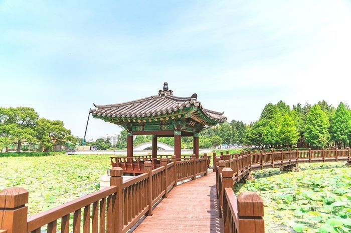 Đến Jeonju để trải nghiệm cuộc sống chậm và tận hưởng vẻ đẹp văn hóa của thủ đô Hàn Quốc 10