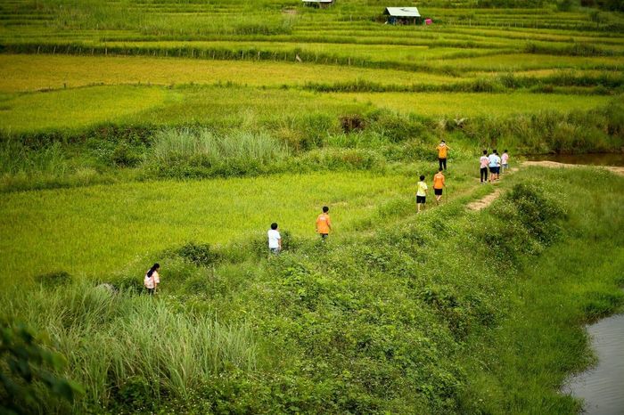 Ruộng bậc thang làng Kon Tu Rằng - Bình yên trên cao nguyên thơ mộng 7