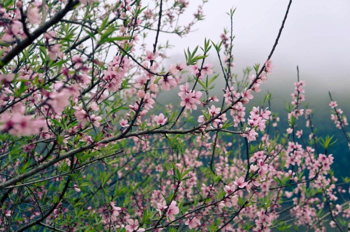 Hãy bỏ qua mọi lo toan và đến Hua Tạt để trải nghiệm những giây phút bình yên tuyệt vời nhất.