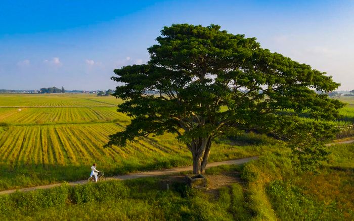 Làng Hà Cảng - Nơi mang lại sự yên bình với khung cảnh quê mộc mạc hấp dẫn mọi người.