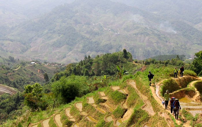 Hành trình trekking núi Ngọc Linh, chinh phục đỉnh cao Tây Nguyên 6