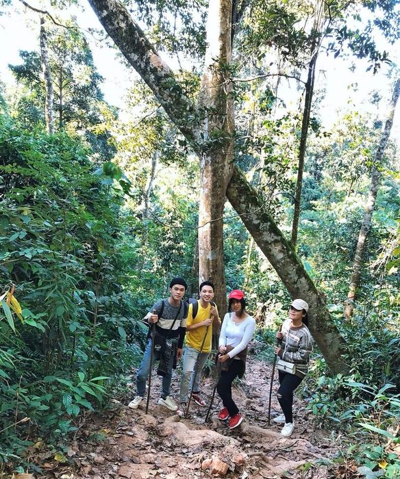 Hướng dẫn chi tiết trekking săn mây trên đỉnh Pha Luông 4