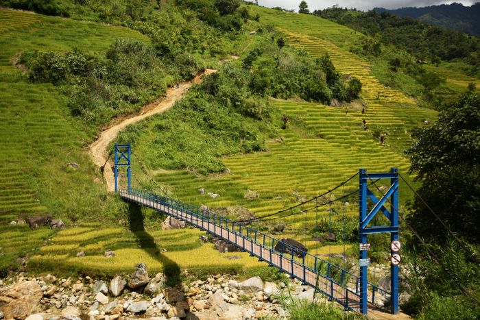 Thưởng ngoạn Ruộng bậc thang Ngọc Linh đẹp mê hồn trên cao nguyên hùng vĩ 9