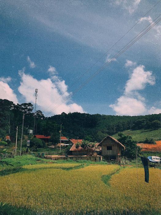 Chuyến hành trình khám phá Măng Đen chữa lành tâm hồn của Lai Phan