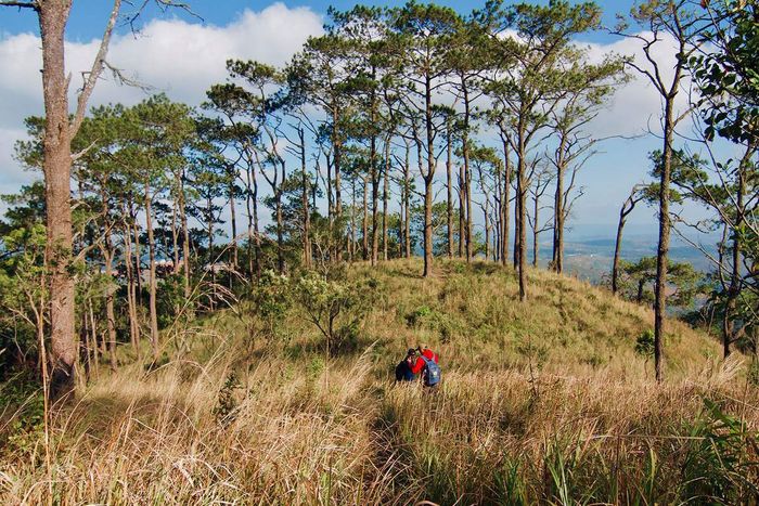 Chinh phục những con đường đẹp như mơ ở Măng Đen bằng trekking 9