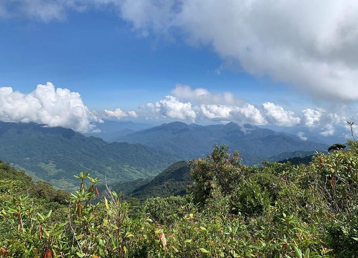 Hành trình trekking núi Ngọc Linh, chinh phục đỉnh cao Tây Nguyên 11