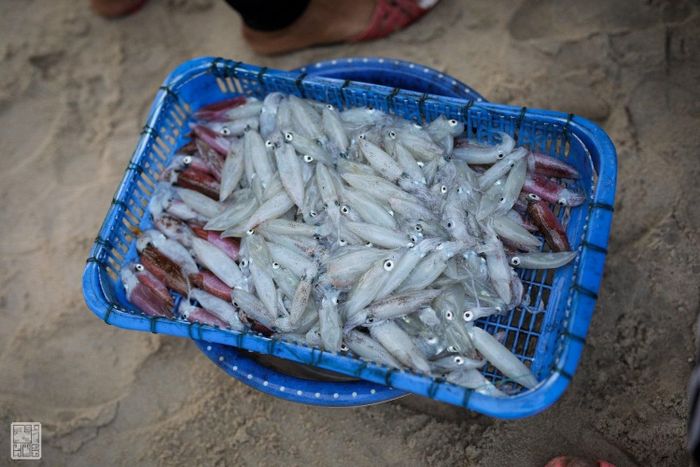 Làng chài Phú Hải - Cuộc sống đặc biệt và vui vẻ liệu có phải điều bạn đang tìm kiếm? 13