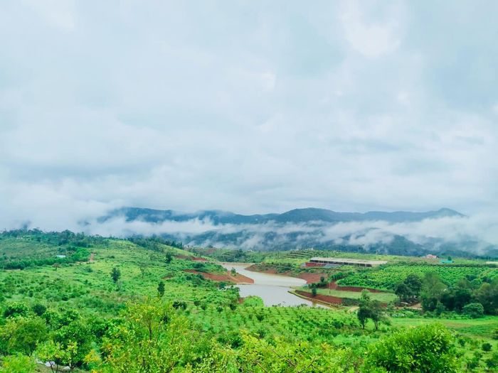 Thăm Vườn cam Orfarm Măng Đen, trải nghiệm cuộc sống của người nông dân thực thụ 3