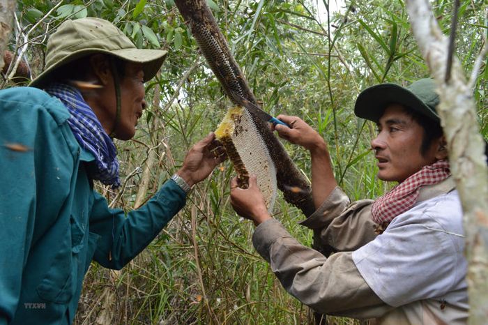 Đánh giá chuyến du lịch Kiên Giang thưởng ngoạn phong cảnh đẹp hấp dẫn