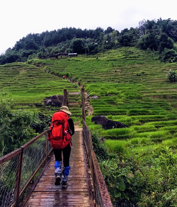 Hành trình trekking núi Ngọc Linh, thách thức đỉnh cao Tây Nguyên 4