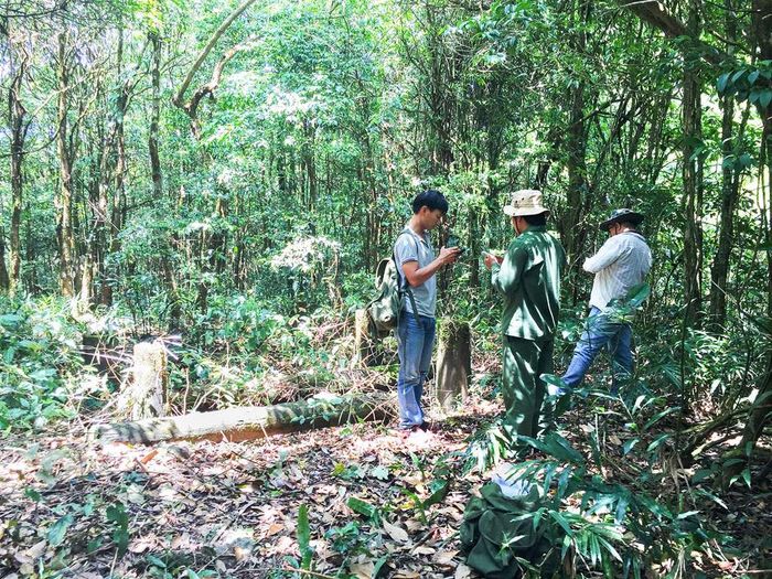 Hành trình trekking VQG Chư Mom Ray - Trở về với núi rừng đại ngàn 8