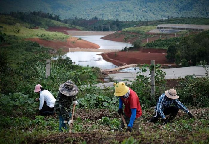 Thăm Vườn cam Orfarm Măng Đen, trải nghiệm làm nông dân thực tế 8