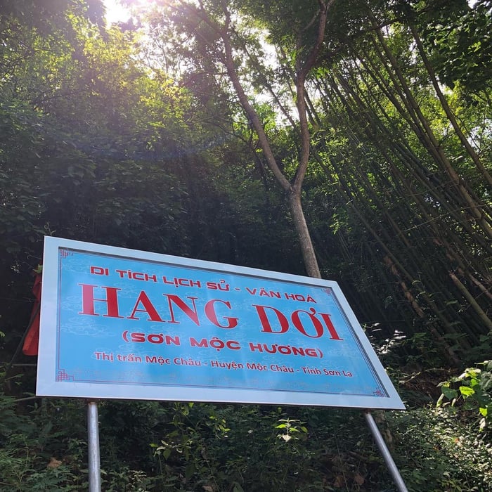 Khám phá Hang Dơi Mộc Châu (Động Sơn Mộc Hương) – Một trong những hang động đẹp nhất miền Tây Bắc