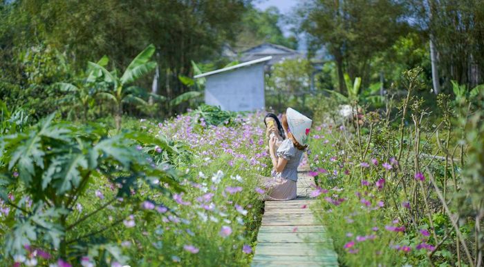 Trải nghiệm một ngày yên bình tại trang trại XANH LỘC 8