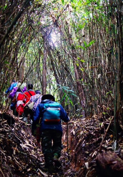 Khám phá và trải nghiệm hành trình Trekking săn mây Mộc Châu phiên bản 7