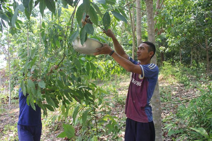 Không thể bỏ lỡ thiên đường trà ngon tại Dingtea Mộc Châu 12