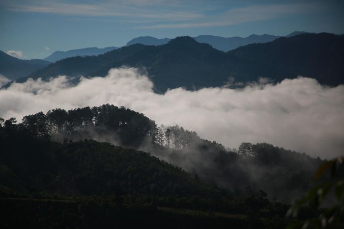 Ngắm Ruộng bậc thang Ngọc Linh đẹp mê hồn trên cao nguyên hùng vĩ 11