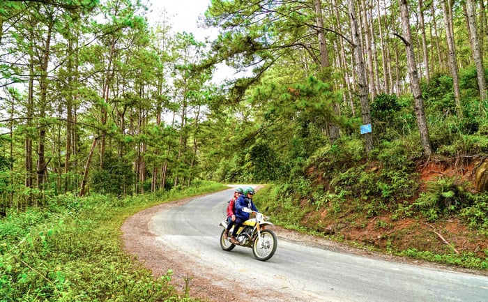 Hành trình trekking Măng Đen - Vượt qua những con đường tuyệt đẹp