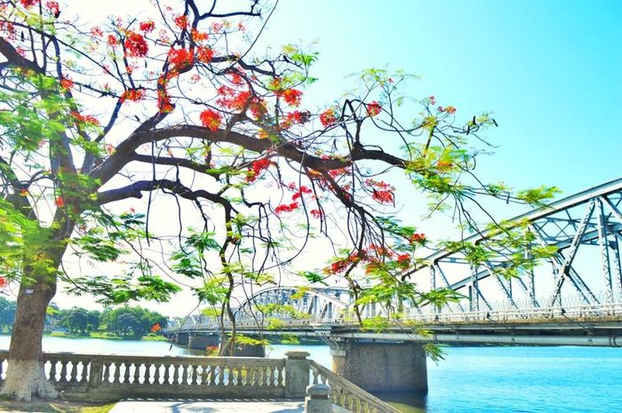 Hòa mình vào âm nhạc dịu dàng bên dòng sông Hương, xứ Huế thật yên bình