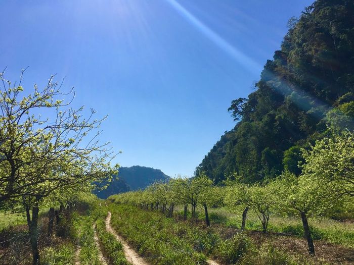 Trekking Mu Náu - Phiêng Cành trên đỉnh Mộc Châu 2