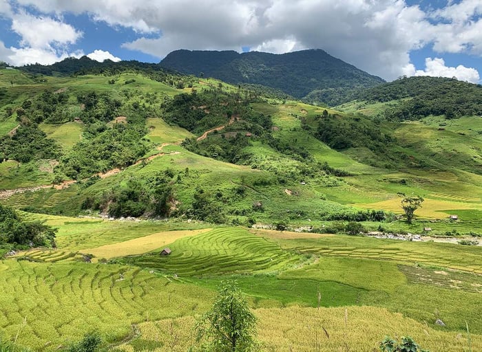 Hành trình trekking núi Ngọc Linh, thách thức đỉnh cao Tây Nguyên 3