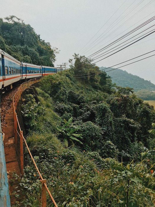 Alo alo, ai đang muốn tìm hiểu kinh nghiệm du lịch vịnh Lăng Cô đẳng cấp, hãy liên hệ ngay với Mytour.vn! 4