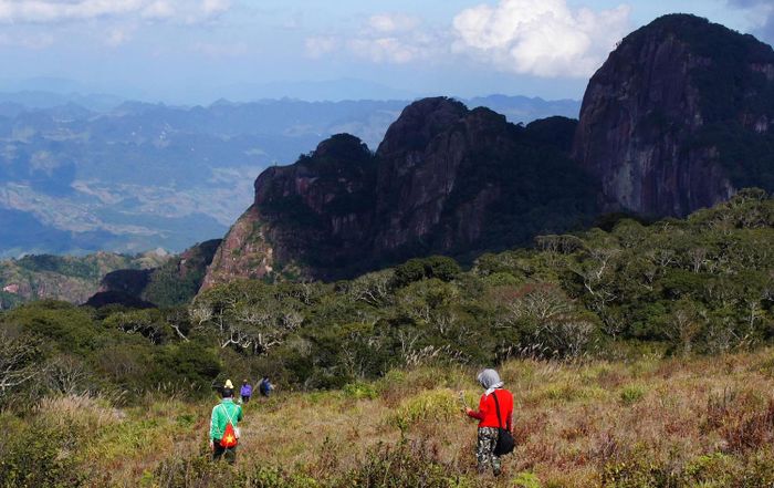 Khám phá trekking Pha Luông - Chinh phục đỉnh núi Mộc Châu 8