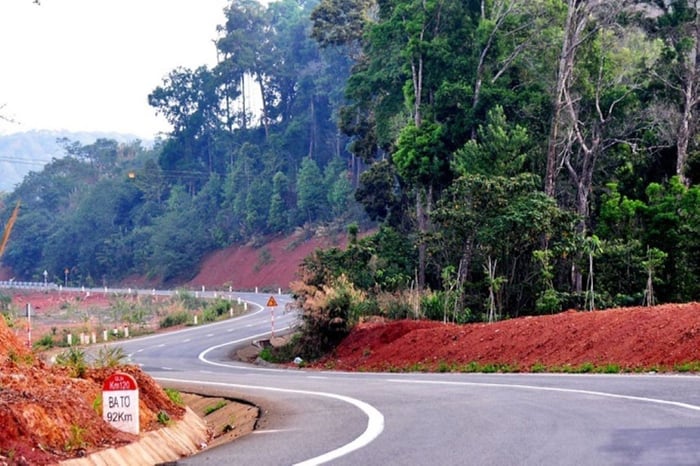 Rừng thông Măng Đen, hình ảnh Đà Lạt thu nhỏ tại Kon Tum