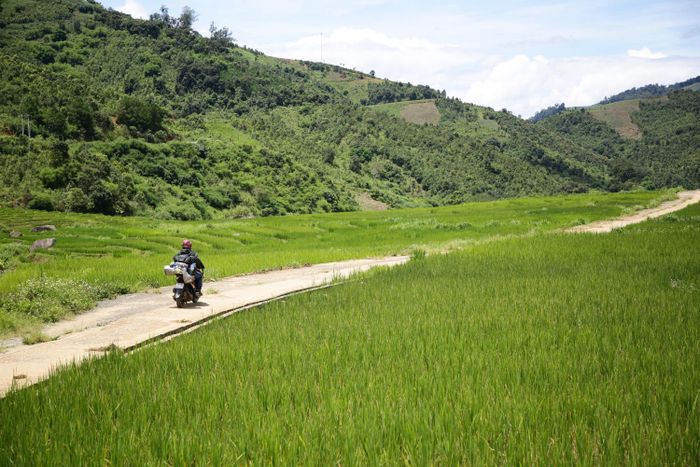 Thưởng ngoạn Ruộng bậc thang Ngọc Linh đẹp mê hồn trên cao nguyên hùng vĩ 10